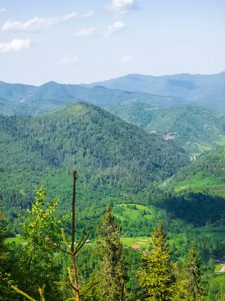 Ormanlı güzel yaz dağları