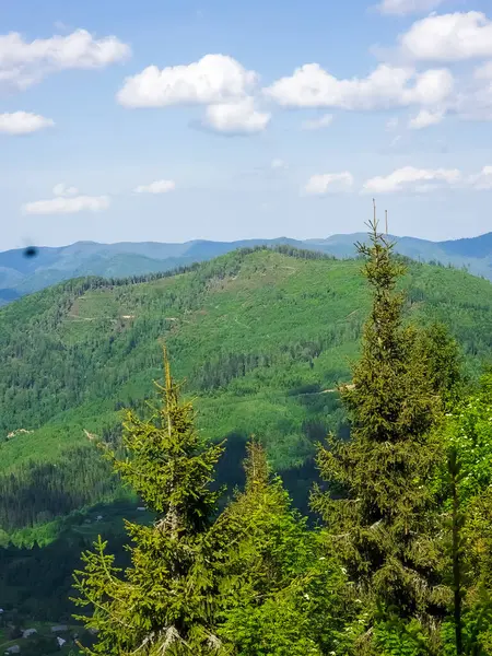 Czech Cumhuriyeti 'nde yaz mevsimi. dağlar, ormanlar, ormanlar ve tepeler.