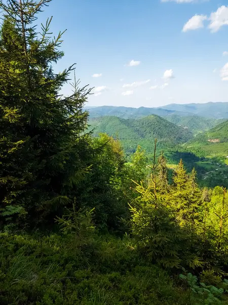 Ukraynalı Karpatların yaz günü dağları. Hava İHA 'sı.