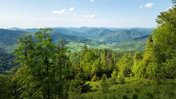 Dağlarda yeşil ağaçlar ve tepeler