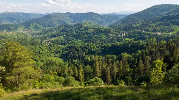 Dağlarda dağları olan güzel bir manzara.