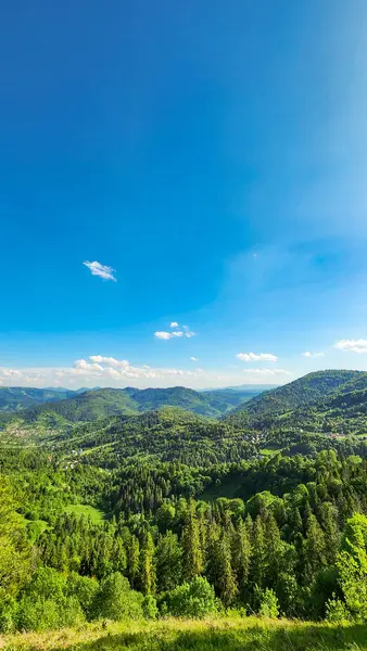 Tepenin tepesinden manzara