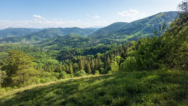 Karpat dağlarındaki dağ vadisi