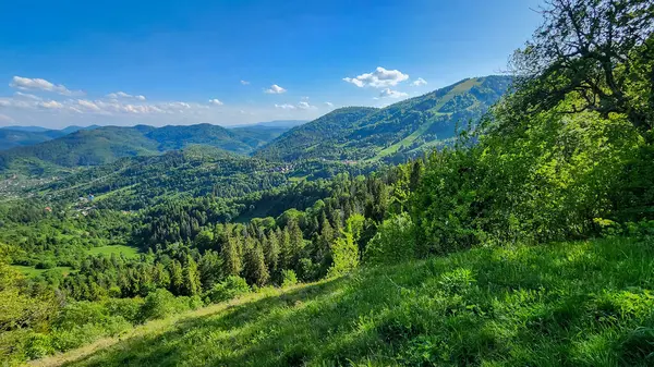 güzel dağ manzarası