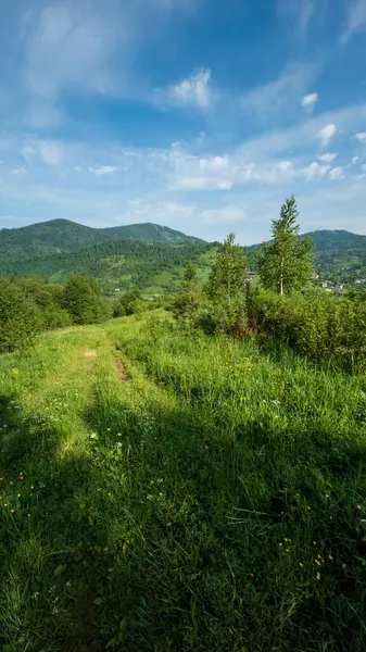 Dağlardaki güzel bir dağ manzarası