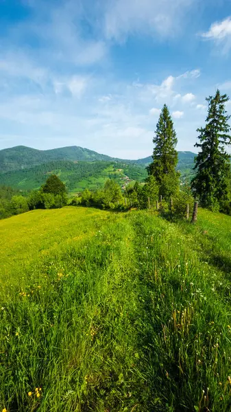 Mavi gökyüzünün altında arka planda ağaç olan bir alanın dikey görüntüsü.