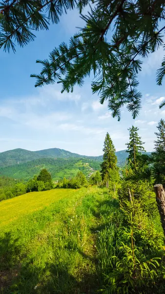 yeşil ağaçlar ve mavi gökyüzü ve arka planda bir dağ