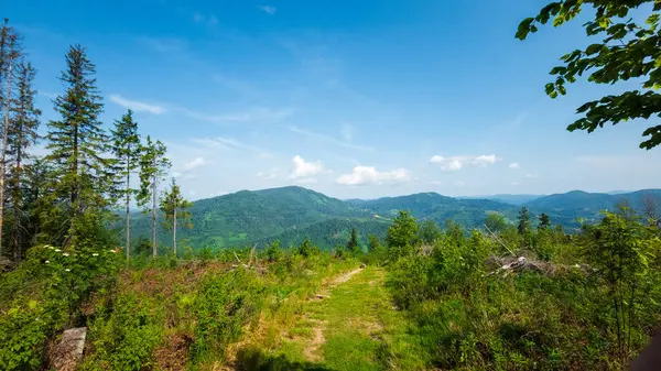 Mavi gökyüzü ve bulutlarıyla güzel bir yaz dağı manzarası.