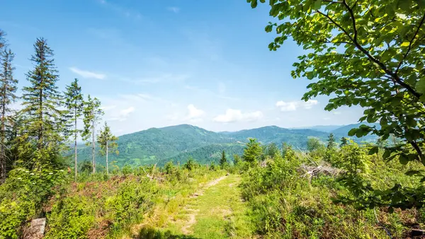 Karpat Dağı 'ndaki dağ yolu..