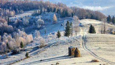 Karla kaplı ağaçlarla kaplı kış manzarası