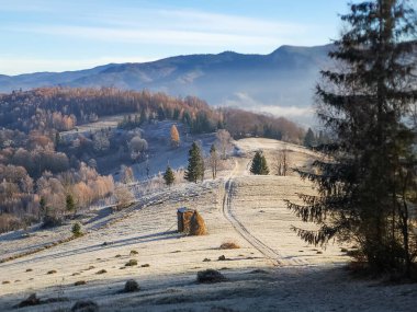 Kar ve ağaçlarla dolu güzel kış manzarası