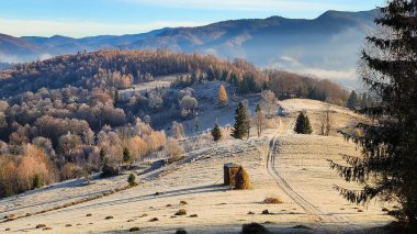 Karpat Dağları 'ndaki kış manzarası