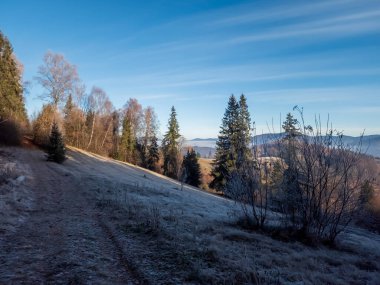 Polonya dağlarında kış manzarası