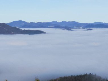 Karpat ormanlarındaki dağlarda sis