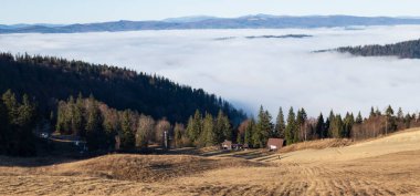 Ukrayna Karpatlarında sonbahar sisi