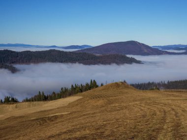 Ukrayna Karpatları 'nda sonbahar. Dağ vadisinin güzel bir manzarası. hava aracı görünümü.