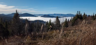 Dağlarda vadinin görünümü