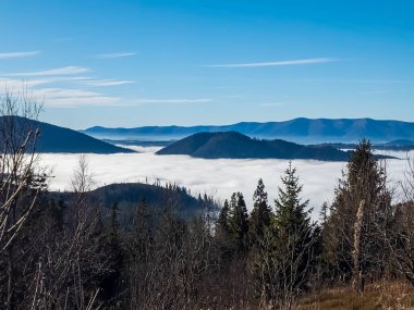 Dağlarda renkli Ukraynalı Karpatlarla dolu inanılmaz bir manzara.