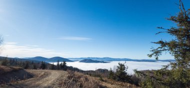 Sabahları Karpat Dağları 'nın güzel manzarası