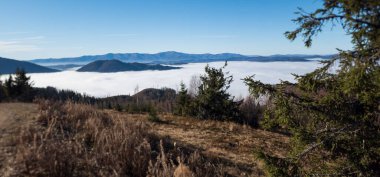 Arkasında bir dağ olan güzel bir manzara..