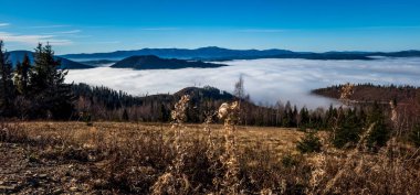 Karpat Dağları'nın güzel manzara