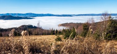 Ağaçlar ve dağlarla dolu güzel sonbahar manzarası