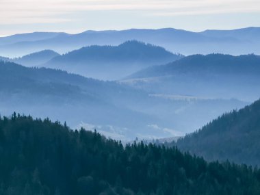 Karpatlar 'daki bir dağın güzel manzarası.