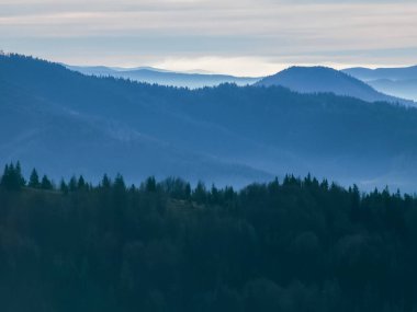 Tepedeki sisli bir ormanın güzel manzarası.