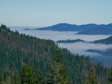 Karpatlar 'da sonbahar manzarası, Ukrayna
