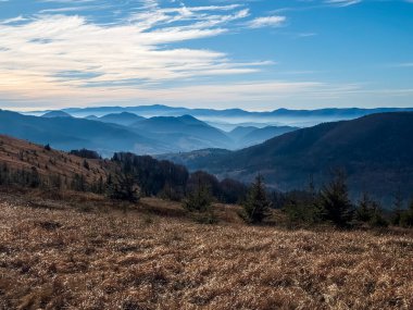 Ağaçlar ve dağlarla dolu güzel sonbahar manzarası