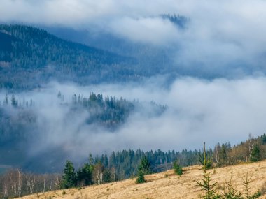 Karpatlar 'daki güzel dağ manzarası
