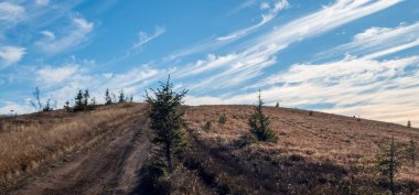 dağda sonbahar renkleri