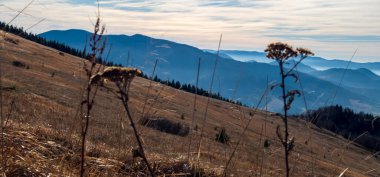 güzel sonbahar dağ manzarası