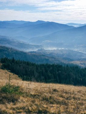 Güneşli bir günde Karpatlar 'ın güzel sonbahar manzarası