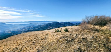 Dağlarda ormanı olan güzel dağ manzarası