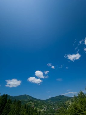 Ormandaki yeşil ağaçlar mavi gökyüzüne karşı