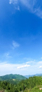 Ormandaki dağların güzel manzarası