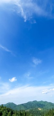 Ağacı ve mavi gökyüzü olan güzel bir manzara.