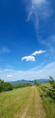 Dağlarda ağaçlar olan yeşil tarla.