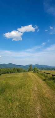 Czech kırsalının güzel yaz manzarası