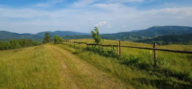 Karpatların dağlarında yeşil bir çayır.