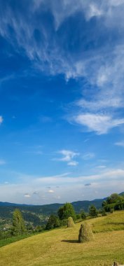 Arkasında bir dağ olan güzel bir manzara.