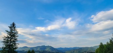 Yeşil ağaçlar ve bulutlu mavi gökyüzü