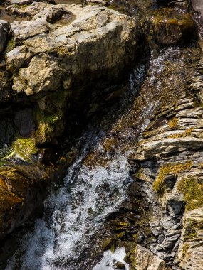 Ormanda güzel bir şelale