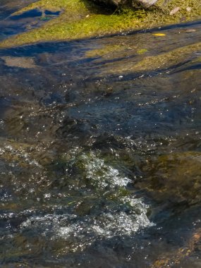 Nehirdeki bir kayaya yakın çekim