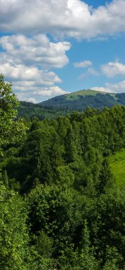 Yeşil ağaçları ve bulutları olan güzel bir manzara.