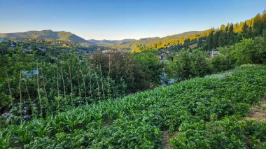 Dağların güzel manzarası