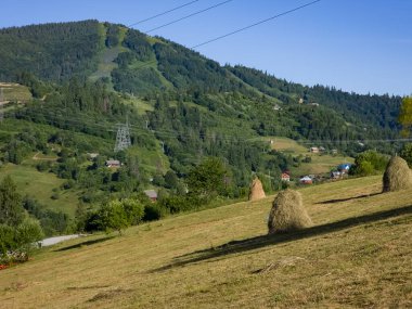 Sahadaki samanlıklar, dağların arka planına karşı..