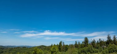 Ukrayna Karpatlarında yaz.