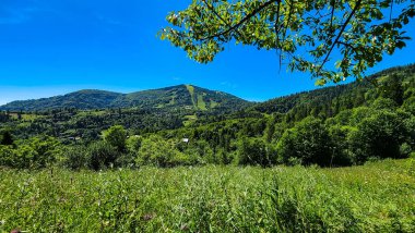 Buzgi Dağları, Karpatlar ve Ukrayna köyündeki yaz manzarası